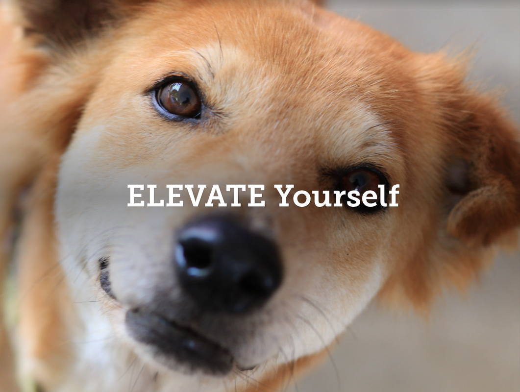 Title screen for ELEVATE Yourself presentation